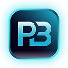 Palm Beach Digital Logo
